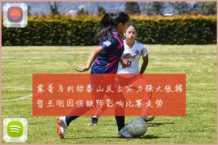 蒙哥马利称泰山反击实力强大张稀哲王刚因伤缺阵影响比赛走势